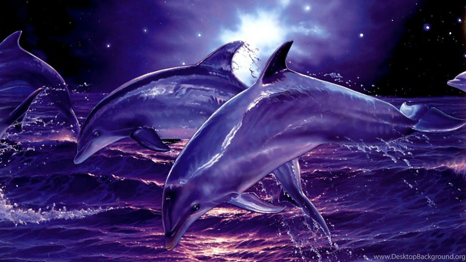 Dolphin as Your Spirit Guide